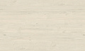 Дуб Наварра